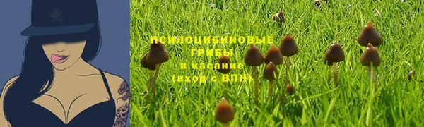 мдпв Строитель